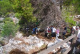 Clicca qui per vedere l'immagine in dettaglio